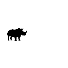 White Rhino