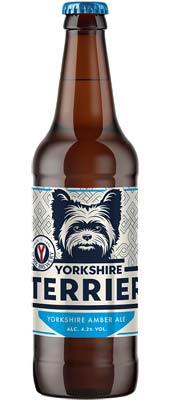 Yorkshire-Terrier-400